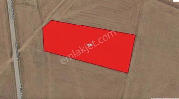 Gama Gayrimenkul'den Asfalta Yola Bir Tarla Mesafede Kupon Araz