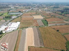 Erenler D-100 Karayoluna 290 Metre 5.800 M² Yatırımlık Tarla