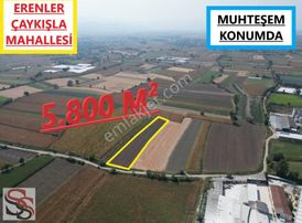 Erenler D-100 Karayoluna 290 Metre 5.800 M² Yatırımlık Tarla