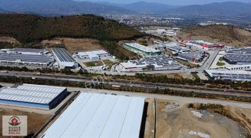 Düzce Konut Emlak | Gümüşova Organize Yanı | Satılık 11 Dönüm