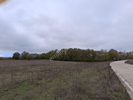 Sahibinden Sahibinden Orman Komşusu Ve Beton Yola Cepheli Müstakil Tarla