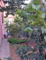 Atıcı' Dan Fındıklı Yaylasının En Güzel Yerinde Eşyalı Yayla Evi