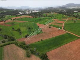 Emlax Store'dan Kalınkoz Mh. Geleceğe Yatırımlık Satılık Tarla