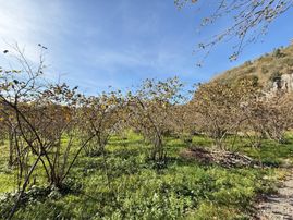 Çukurçayır Da İmarlı Satılık Arsa