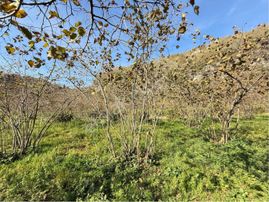 Çukurçayır Da İmarlı Satılık Arsa