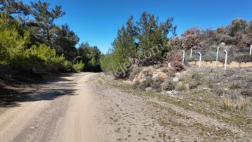 Gömeç Kubaşlar Orman İçi Bahçe(2041 M2)