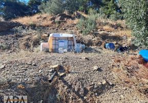 Selçuk Havutculu Da Satılık Zeytinlik