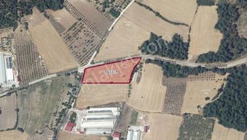 emlakjet-image-not-found