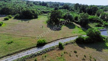 Ulu'dan Kocaeli, Körfez, Cuma Köyü'nde 3.514 M² %5 İmarlı Arsa