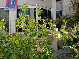 Dalaman Hürriyet Mah.de Ozel Otoparkli Bahceli Mustakil Tadinda 3+1