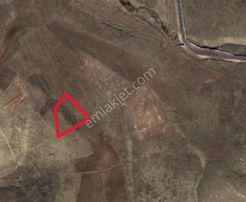 Ağrı'da Satılık Tarla