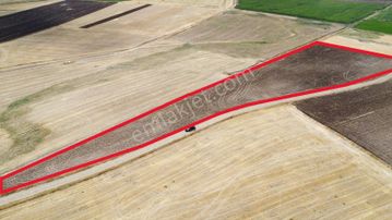 Ağrı'da Satılık Tarla