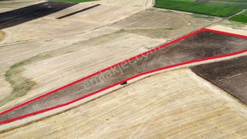 Ağrı'da Satılık Tarla