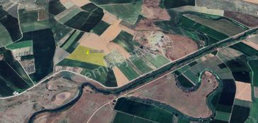 Bandırma Doga Mah. 43 Dönüm Sulu Tarım Arazisi