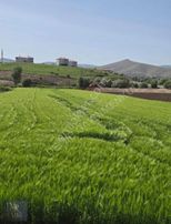 Yeni Yapılan Kovancılar Palu Devlet Hastanesi Karşısı Tarla