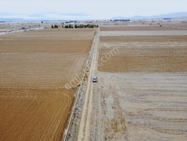 Denizli Baklan Konak 1103 M2 Tek Tapu Tarla Karadeniz Emlak