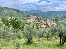 Gümüşden Mehmetalan Köyünde 416 M² Deniz Manzaralı Zeytinlik