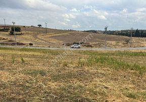 Manisa Turgutlu,da 13 Dönüm Elektirik Sulu Asfalt Cepheli Arazi