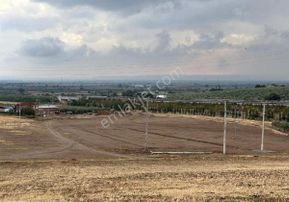 Manisa Turgutlu,da 13 Dönüm Elektirik Sulu Asfalt Cepheli Arazi