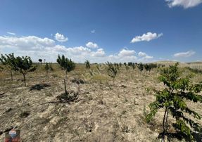 Ankara Gölbaşı'nda Satılık Tarla