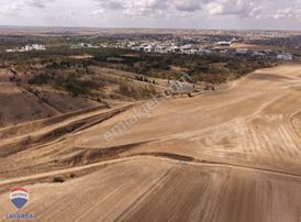 Tekirdağ Çorlu Hıdırağa Mahallesinde Satılık Tarla