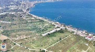 Fatsa Bolaman Yenipazar Satılık 487 M2 Konut İmarlı Arsa