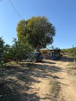 Karaisalı Kuzgunda Toplam 110.000 M2 Satılık Tarla