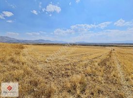 Fiyat Düştü 7456 M2 Tek Tapu Kemer Yakalar'da Yatırımlık Tarla