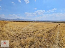 Fiyat Düştü 7456 M2 Tek Tapu Kemer Yakalar'da Yatırımlık Tarla