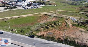 Pelitli'de K.marmaraya Yakın Satılık 12000m² Sanayi İmarlı Arsa