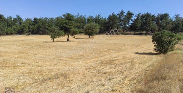 Kalaycılar Satılık Tarla