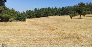 Kalaycılar Satılık Tarla