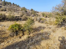 Al Unut Telefon Parasına Arsa Mete Mermer'den