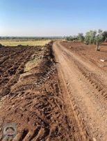 Yetişmiş Satılık Fıstık Tarlası