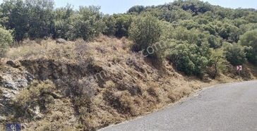 Tarla Vasfında Muhteşem Doğa İçerisinde Fırsat Yer.