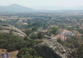 Asfalt Yola Sıfır Zeytinlik