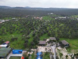 Ayvalık Fethiye’de Yola Yakın Satılık