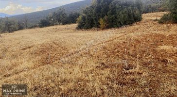 Max Prıme | Tavas Uluköy'de 2.795 M2 Yatırımlık Fırsat Tarla