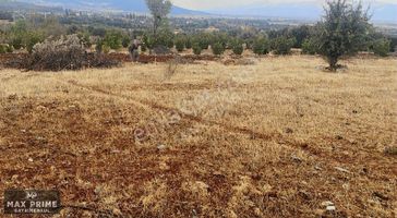 Max Prıme | Tavas Uluköy'de 2.795 M2 Yatırımlık Fırsat Tarla