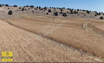 1,085 M2 Yatırımlık Fırsat Tarla