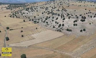 1,085 M2 Yatırımlık Fırsat Tarla