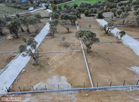 Üç Elmastan Fırsat!!! İmara Çok Yakın 377 M²muhteşem Bir Bahçe