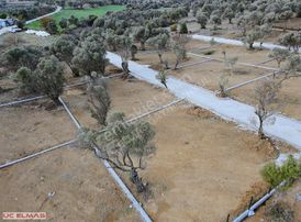 Üç Elmastan Fırsat!!! İmara Çok Yakın 377 M²muhteşem Bir Bahçe