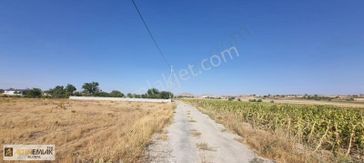 Fed Global/incesu Karahüyük De Satılık Bağ