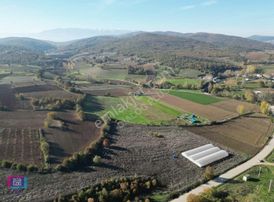 Yenişehir Fethiye'de 20.800m2 Tek Tapu Fırsat Arazi