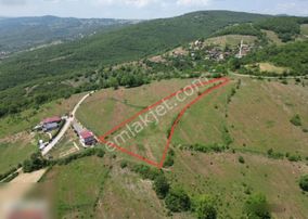 Yosunlu Mah Harıka Konum