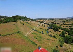 Yosunlu Mah Harıka Konum