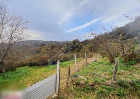 Atakum Kayagüneyde Satılık 6 Dönüm Tarla