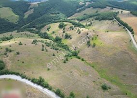 Karaaslanda Yola Yakın Fırsat Tarla Yatırım Icın Uygun Cazıp