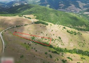 Karaaslanda Yola Yakın Fırsat Tarla Yatırım Icın Uygun Cazıp